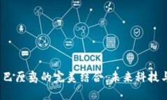 探索Web3与巴厘岛的完美结合：未来科技与自然的