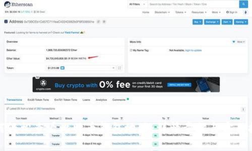 如何轻松查看比特币钱包地址：详情步骤与实用技巧
