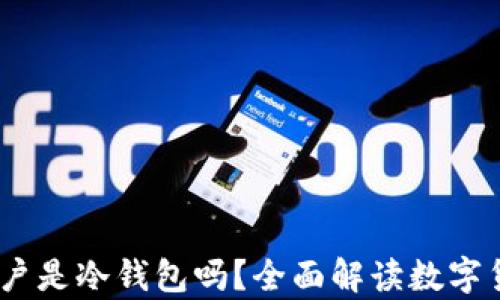 
USDT资金账户是冷钱包吗？全面解读数字货币存储方式