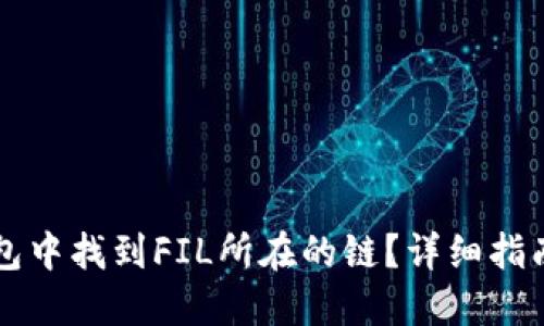 如何在TP钱包中找到FIL所在的链？详细指南与最佳实践