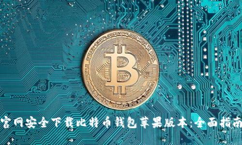 如何从官网安全下载比特币钱包苹果版本：全面指南与技巧