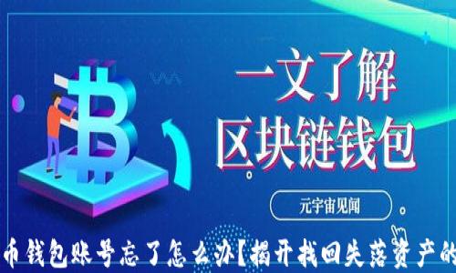 
比特币钱包账号忘了怎么办？揭开找回失落资产的秘钥