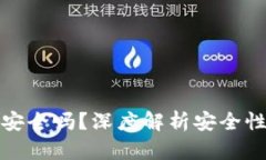 TP钱包闪兑安全吗？深度解析安全性和使用须知