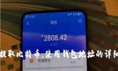 如何提取比特币：使用钱包地址的详细指南