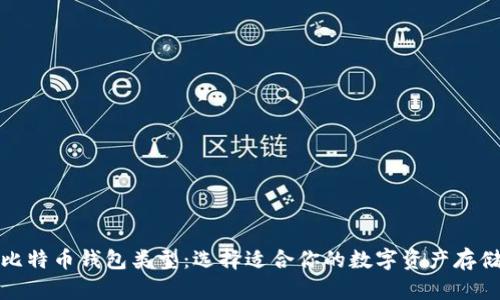 揭秘比特币钱包类型：选择适合你的数字资产存储方案