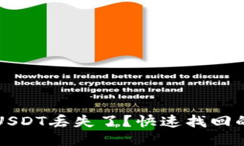  钱包里的USDT丢失了？快速找回的终极指南！