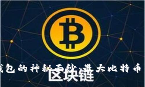 揭开比特币钱包的神秘面纱：最大比特币钱包全面解析
