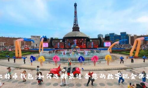 探索比特币钱包：如何选择最适合您的数字现金保护方案