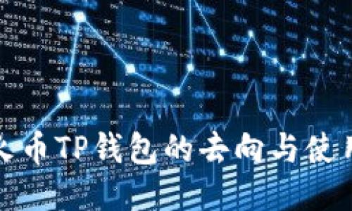 探秘火币TP钱包的去向与使用技巧