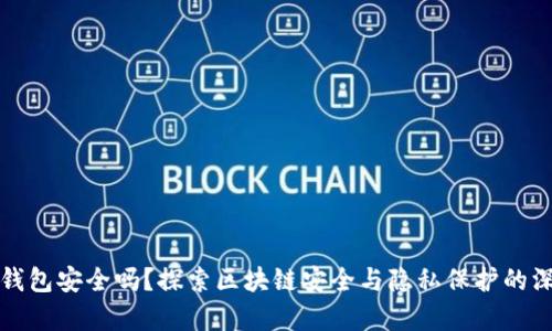 TP创建钱包安全吗？探索区块链安全与隐私保护的深度分析