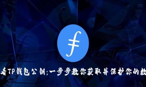 如何查看TP钱包公钥：一步步教你获取并保护你的数字资产