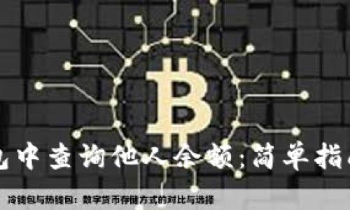 如何在TP钱包中查询他人余额：简单指南与实用技巧