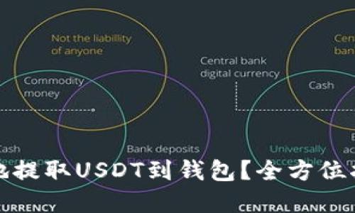 如何安全高效地提取USDT到钱包？全方位指南与实用技巧