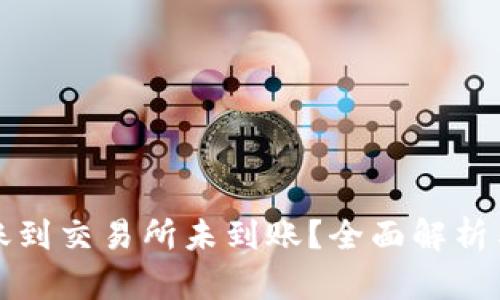 TP钱包转账到交易所未到账？全面解析与解决方案