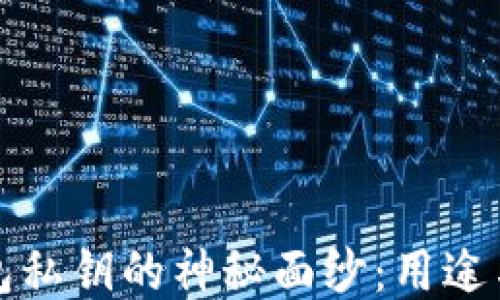 
揭开TP钱包私钥的神秘面纱：用途与安全防护