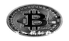 TP钱包是否会归零？深入揭秘数字资产的隐忧与机