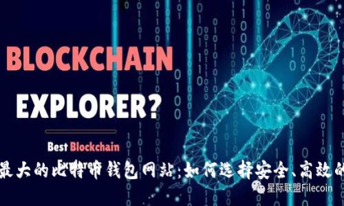 探索最大的比特币钱包网站：如何选择安全、高效的平台