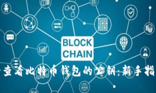 如何安全查看比特币钱包的公钥：新手指南与建议