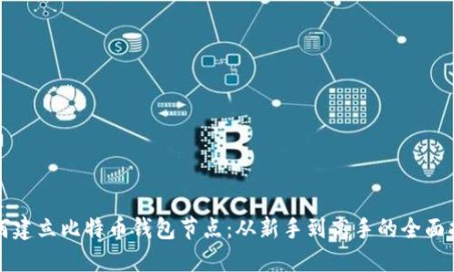 如何建立比特币钱包节点：从新手到高手的全面指南