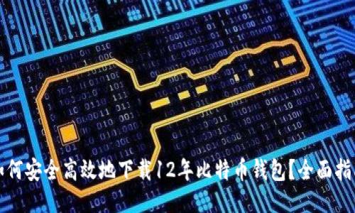 如何安全高效地下载12年比特币钱包？全面指南