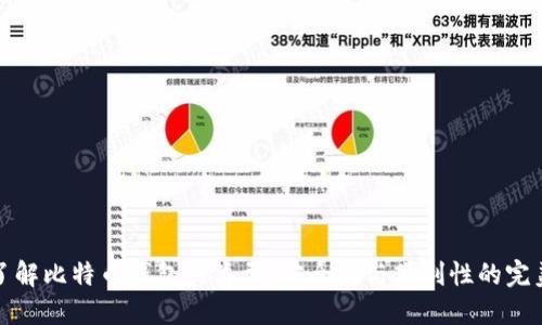 深入了解比特币钱包的类型：安全性与便利性的完美平衡
