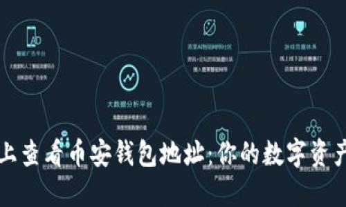 如何在TP上查看币安钱包地址：你的数字资产管理指南