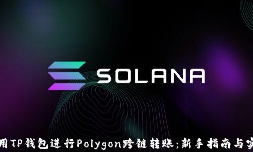 
如何使用TP钱包进行Polygon跨链转账：新手指南与实用技巧