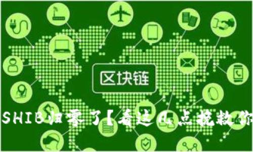 TP钱包里的SHIB归零了？看这几点挽救你的投资信心