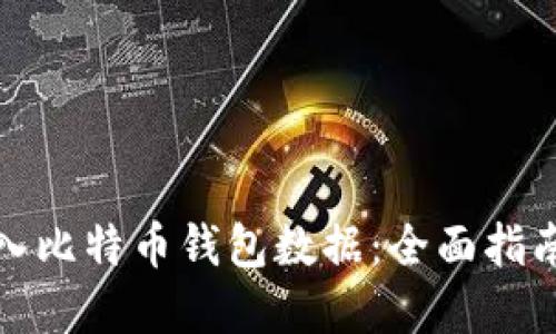 如何顺利导入比特币钱包数据：全面指南与实用技巧