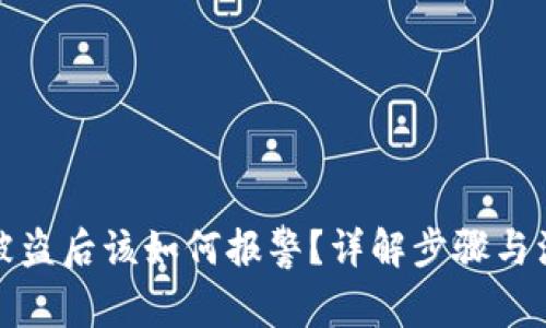 TP钱包被盗后该如何报警？详解步骤与注意事项