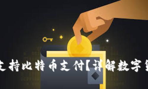 苹果钱包是否支持比特币支付？详解数字货币的未来趋势