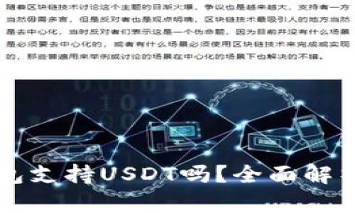 Token.im钱包支持USDT吗？全面解析与使用指南