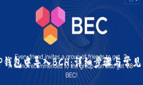 如何在TP钱包中导入BCH：详细步骤与常见问题解答