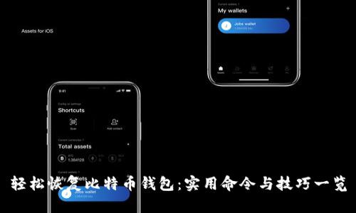 轻松恢复比特币钱包：实用命令与技巧一览