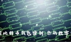 如何安全使用比特币钱包密钥：你的数字资产保