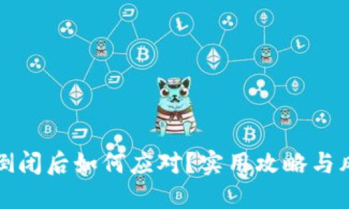 TP钱包倒闭后如何应对？实用攻略与风险防范