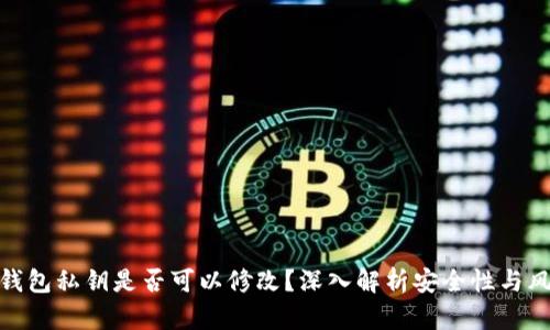 TP钱包私钥是否可以修改？深入解析安全性与风险