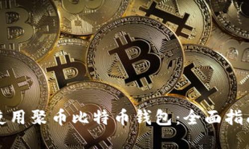 如何选择和使用聚币比特币钱包：全面指南与实用技巧