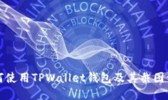 如何使用TPWallet钱包及其截图详解