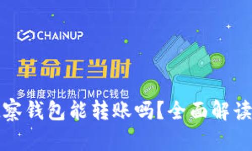 TP钱包的观察钱包能转账吗？全面解读与使用指南