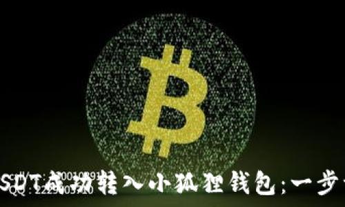   
如何将USDT成功转入小狐狸钱包：一步一步引导