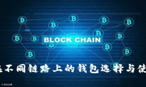USDT在不同链路上的钱包选择与使用指南
