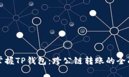 轻松掌握TP钱包：跨公链转账的全面指南