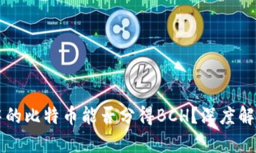 比特币钱包中的比特币能否分得BCH？深度解析与趋势分析