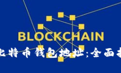 如何快速查看比特币钱包地址：全面指南与实用技巧