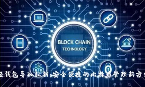 轻钱包导入私钥：安全便捷的比特币管理新方式