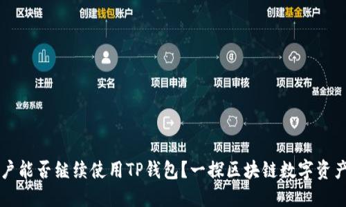 中国用户能否继续使用TP钱包？一探区块链数字资产的未来