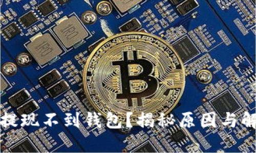 比特币提现不到钱包？揭秘原因与解决方案