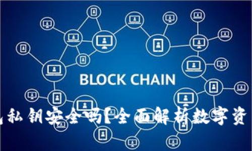 TP钱包私钥安全吗？全面解析数字资产保护