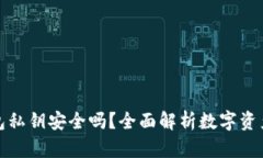 TP钱包私钥安全吗？全面解析数字资产保护